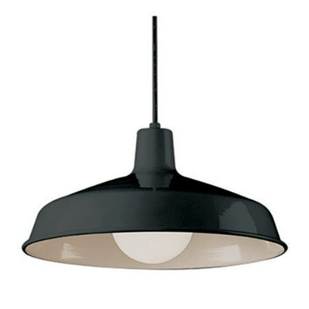 Opal Cased Globe Pendant - Trans Globe Lighting Sherman 1100 BK Pendant Light