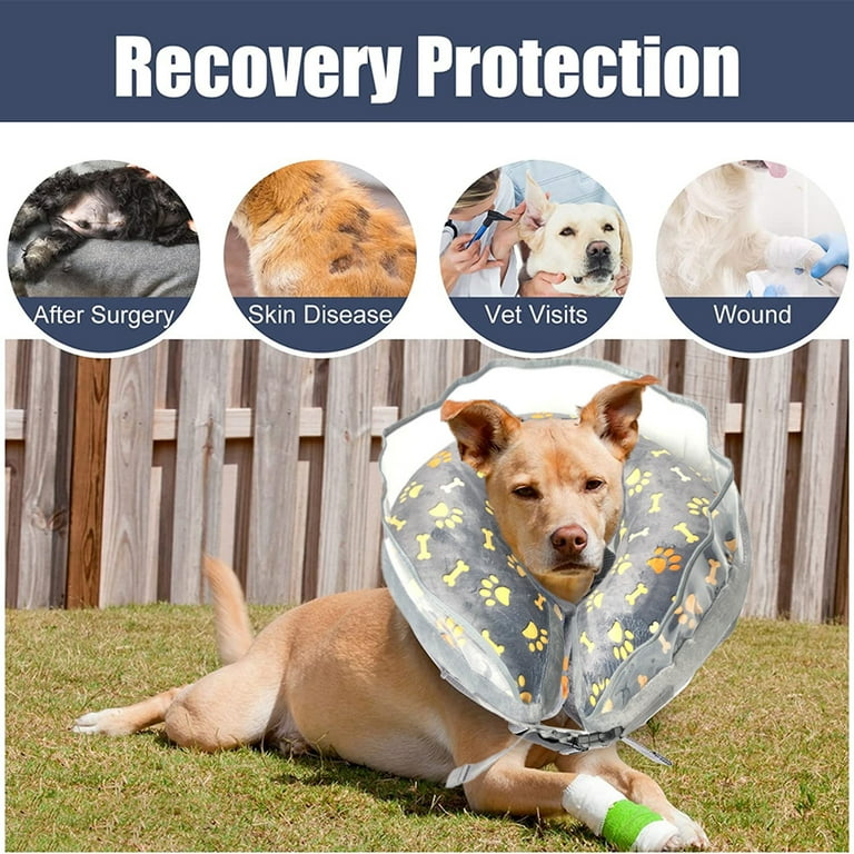 Dog hotsell neck ring
