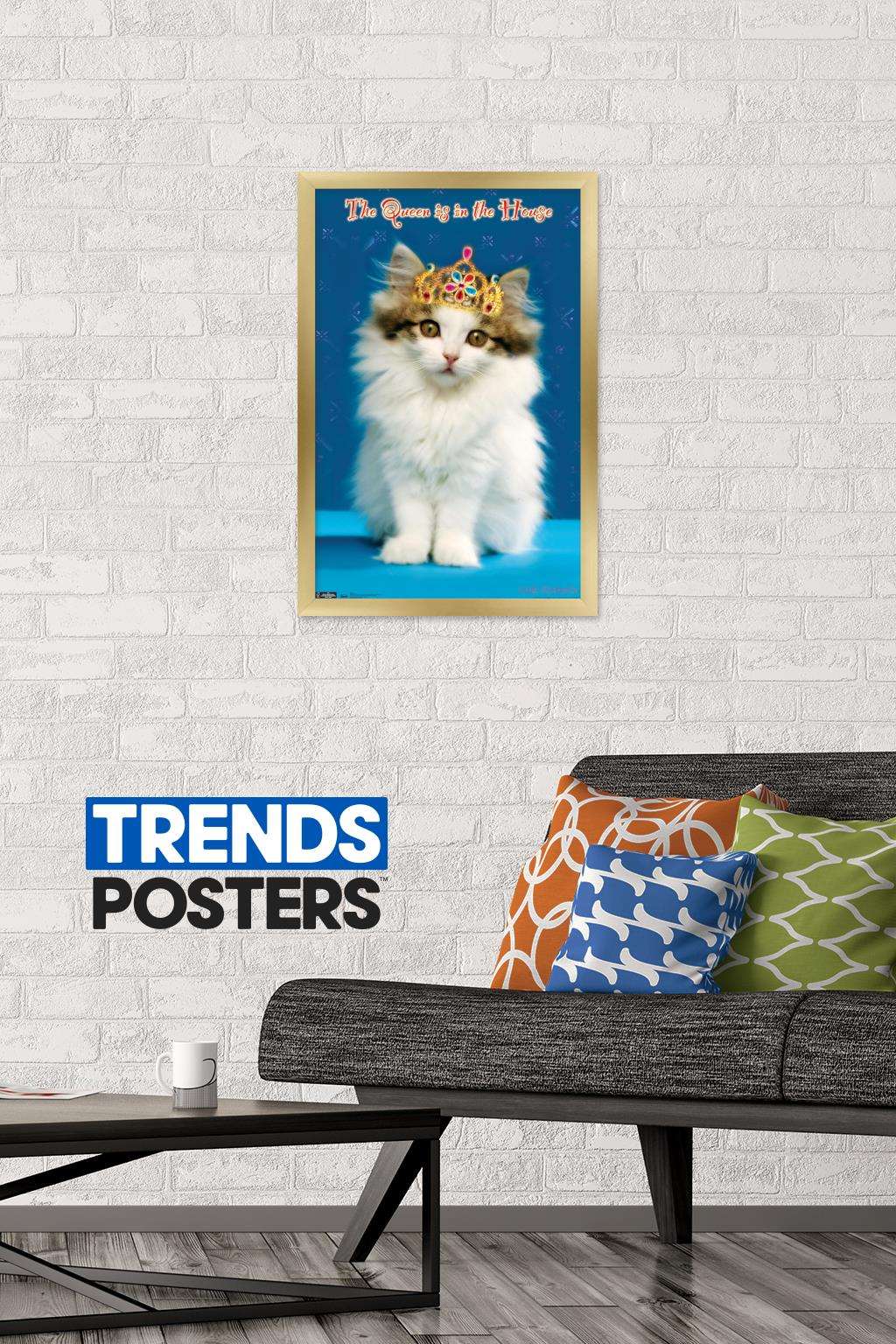 Keith Kimberlin - Kitten - Queen Wall Poster, 14.725" x 22.375", Framed