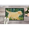 thumbnail image 2 of Caroline's Treasures Tapis Intérieur Ou Extérieur Golden Retriever, 24 x 36 Po., Résistant à la Décoloration, 2 of 4