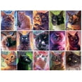 thumbnail image 3 of 750P CATS, 3 of 5