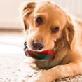thumbnail image 5 of Christmas Dog Toy Indestructible High Elasticity Chew Ball Bone Shaped Dental Cleaning Interactive Training Toy for Small Medium Dogs Festive Red Green Gradient Pet Gift, 5 of 6
