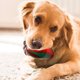 thumbnail image 5 of Juguetes para perros con temática navideña, pelotas indestructibles para perros, pelotas masticables de alta elasticidad y juguete interactivo de entrenamiento para perros, juguete de plástico., 5 of 6
