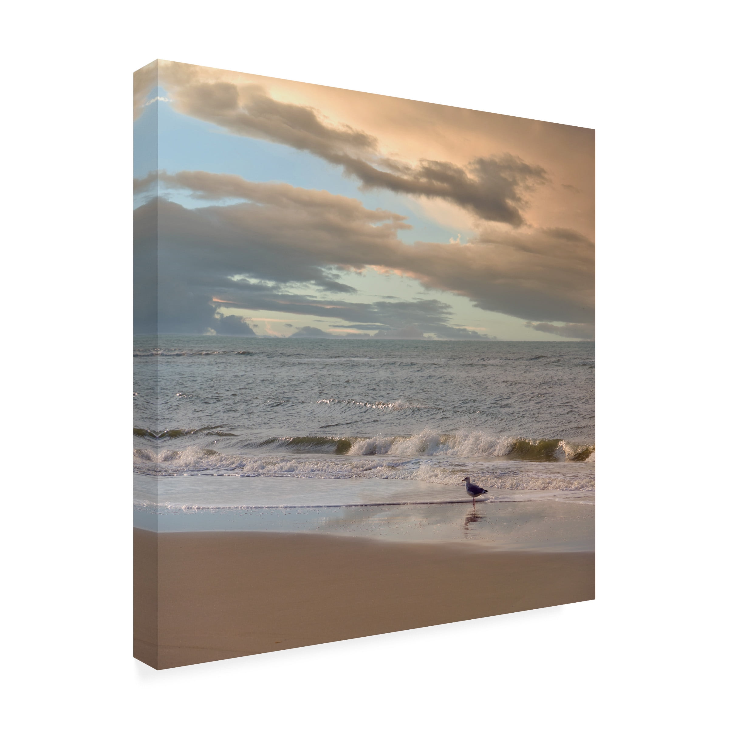 Cora Niele 'Seagull on Beach' Canvas Art