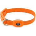 thumbnail image 2 of Collar LED Dog Glow BSEEN recargable por USB para mascotas pequeñas, 2 of 16