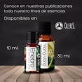 thumbnail image 2 of OLEOS Aceite Esencial de Árbol de Té 30 ml. 100% puro y natural Vida Scents OLEOS_Arbol_de_te_30, 2 of 3