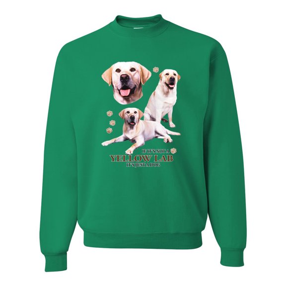 If It's Not a Yellow Lab It's Just a Dog Gift | Mens Dog Lover Crewneck Graphic Sweatshirt, Kelly, Small