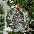 thumbnail image 2 of Barred Owl on Pine tree branch GLASS Hanging, Winter landscape, barred owl suncatcher, bird watching gift, Christmas gift, owl lover, Ornament 2025, Holiday 2025, Seasonal Holiday, 2 of 5