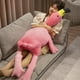 thumbnail image 1 of Almohada de peluche XQEYNT 63 Flamingo para niños, 1 of 6