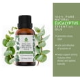 thumbnail image 4 of Pursonic 30ML Bottle 100% Pure Eucalyptus Essential Oil, 4 of 9