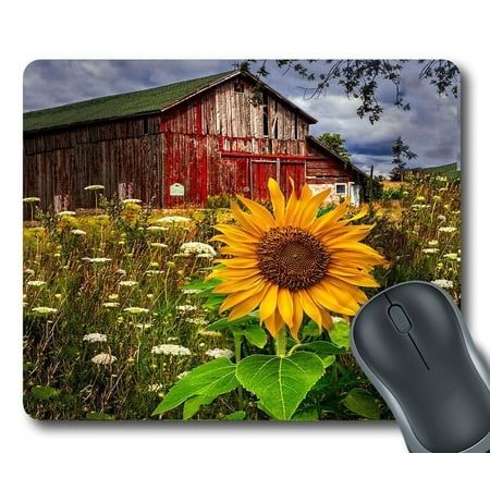 gckg barn meadow flowers