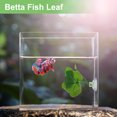 thumbnail image 2 of Unique Bargains Betta Fish Leaf Natural Habitat Simulation for Betta Spawnings Grounds Betta Spawnings Leaves Resting Bed Large and Small Leaves Green, 2 of 6