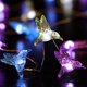 thumbnail image 5 of Cadena de luces decorativas con forma de colibrí, 13,12 pies, 40 LED de color blanco frío, resistente a la intemperie, funciona con pilas, 8 modos, cadena de luces de primavera para fiestas navideñas,, 5 of 5