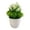 4976, variant on Ludlz Artificial Podocarpus Pine Centerpiece in Pot Fake Mini Decorative Potted Topiary Shrubs Room Decoration Simulation Plant Potted Small Bonsai Fake Flower Garden Decor for Office, Home, Inddor