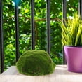 thumbnail image 4 of FRCOLOR Decorative Moss Stones Rock Artificial Greenery Boxwood Balls Foam Half Sphere for Topiary Bowl Floral Arrangements Home Decor 20cm, 4 of 8