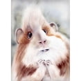 thumbnail image 3 of Shefranov, Olga 11x14 Black Modern Framed Museum Art Print Titled - Oliver, 3 of 5