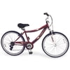 26-inch Ladies Bella Vista Mountain Bike