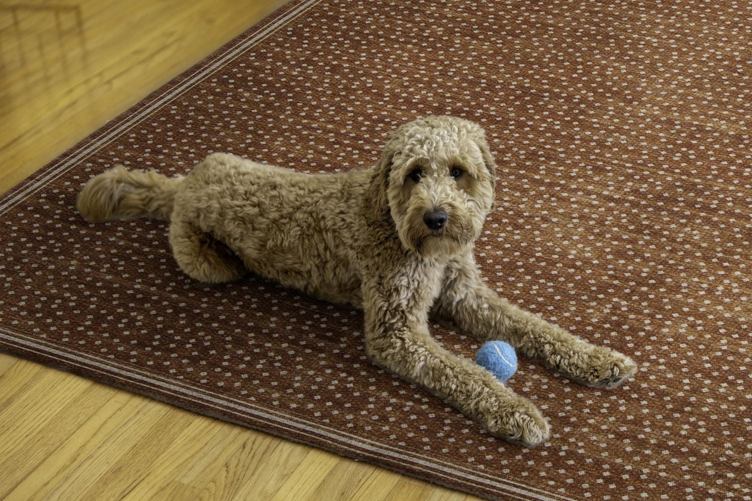 Tapis d'extérieur lavable Estero orange & ivoire 5 pi x7 pi