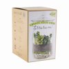 SYNDICATE HOME & GARDEN DIY Terrarium Kit 100-06-00