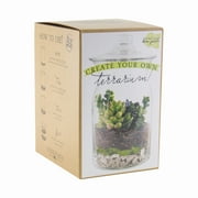 SYNDICATE HOME & GARDEN DIY Terrarium Kit 100-06-00