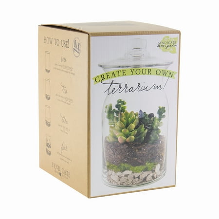 SYNDICATE HOME & GARDEN DIY Terrarium Kit 100-06-00