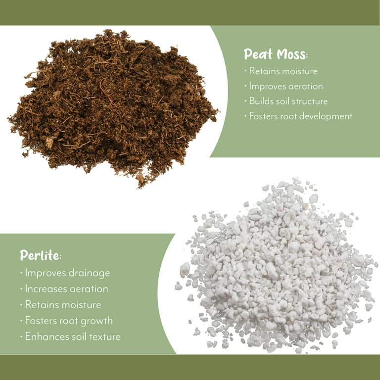 Philodendron Indoor Houseplants Potting Soil Mix by Soil Sunrise, 8 Quarts  Special Blend for Various Philodendrons - Walmart.com