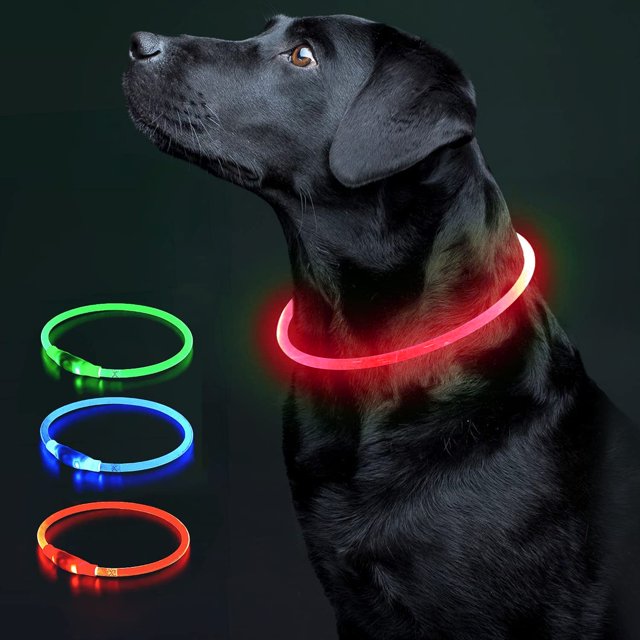 Collar LED para perros resistente al agua con luz reflectante Collar LED para perros que brilla en la oscuridad para mayor seguridad y visibilidad (50 cm)