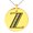 Gold, variant on Stainless Steel Letter Z Initial Metro Retro Monogram Engraved Small Medallion Circle Charm Pendant Necklace
