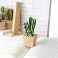 thumbnail image 6 of T4U Artificial Faux Cactus Plants in Pots for Home and Office Decoration, Set of 6, 6 of 6