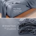 View all media