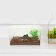 thumbnail image 2 of Terrarium en Acrylique pour Reptiles, Boîte d'Élevage de Reptiles en Acrylique, Cage de Terrarium Transparente, Réservoir pour Petit Reptile, 2 of 7