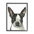 thumbnail image 4 of Stupell Industries Minimal Boston Terrier Portrait Pet Dog Black White Grey Framed, 16 x 20, Design by George Dyachenko, 4 of 5