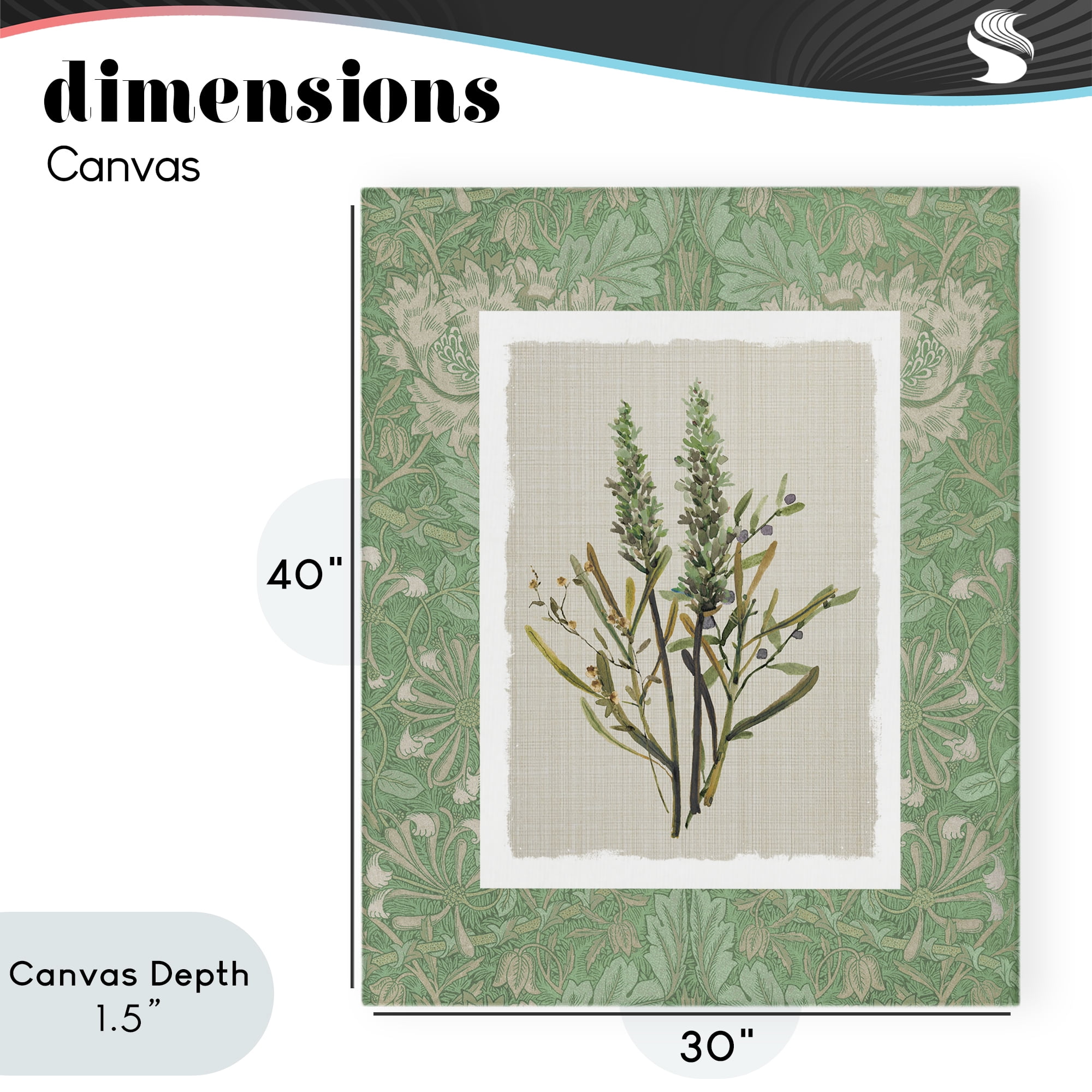 Stupell Industries Antique Foliage in Green Canvas Wall Art, design by Carol Robinson