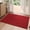 Red-2' x 3', variant on 2x4 Ft Entryway Rug Indoor Door Mat Non Slip Boho Woven Washable Area Rugs Kitchen Runner Front Entry Entrance Doormat For Hallway Porch Bathroom Laundry Room Brown 24"x48"