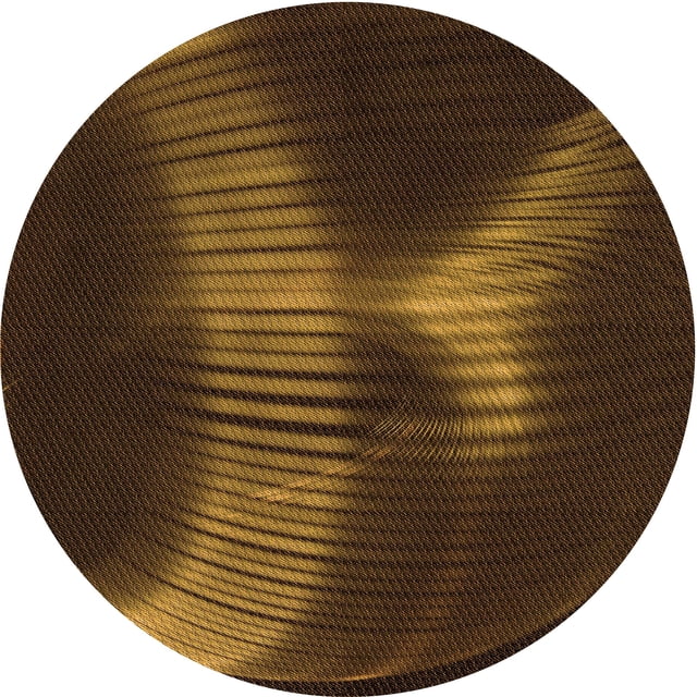 Ahgly Company Tapis Rond Lavable en Machine Intérieur Transitionnel Noir Brun, 6 Pieds Rond