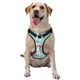 thumbnail image 1 of Fotbe Flamingo Arnés para Perro con Estampado –Chaleco Ajustable Acolchado con Asa de Control para Perros Grandes-Medium, 1 of 6