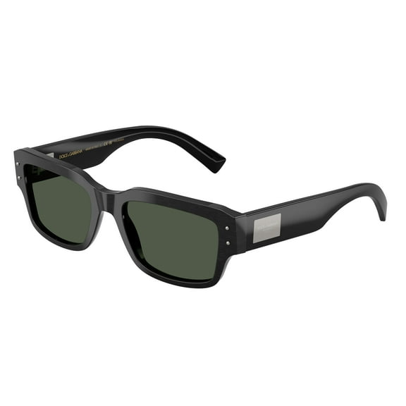 Sunglasses Dolce & Gabbana DG 4483 28209A Brushed Black Dark Green Polar