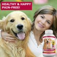 thumbnail image 2 of Suplemento Amazing Nutritionals de arándano para perros, 120 unidades masticables, 2 of 5