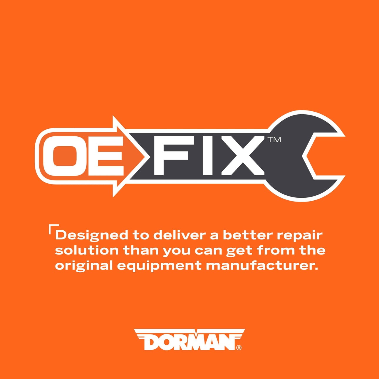 Dorman 686-367 Front Driver Side Steering Knuckle Kit for Specific Ford Models, Black; Natural (OE Fix)