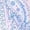 3-Pink, variant on Men's Boho Paisley Shorts Tribal Print Drawstring Elastic Waist Summer Bandana Shorts with Pockets 2026 Summer Hawaii Vacation Fashion Bottoms 1-Sky Blue M
