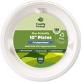 100 Compostable 10 Inch HeavyDuty Plates [125 Pack] 3 Compartment Eco