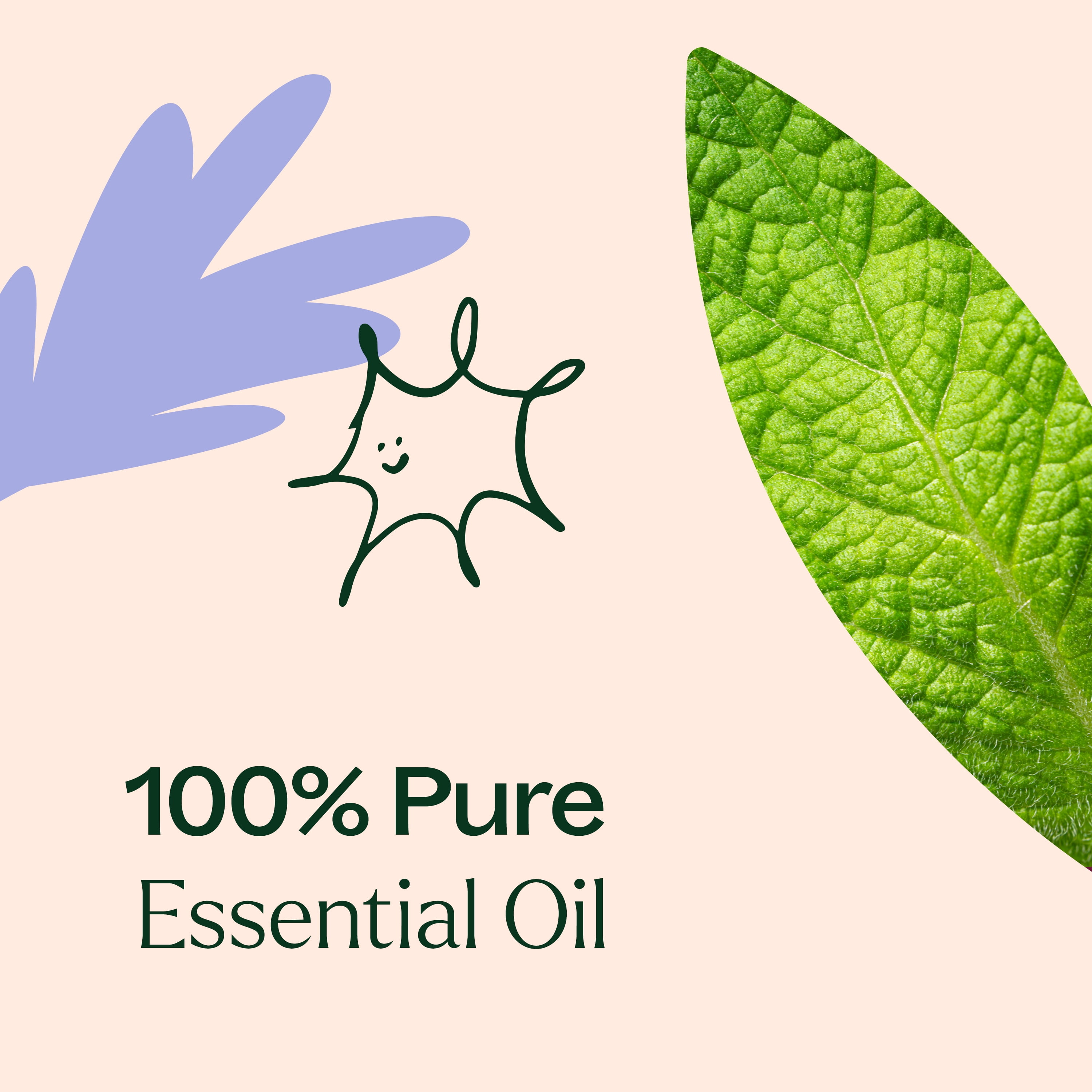 Plant Therapy Respir Aid Essential Oil Blend 100 mL (3.3 oz) Sinus, Airway and Congestion Clearing Synergy Blend 100% Pure, Undiluted, Natural Aromatherapy