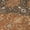Paprika, variant on Addison Rugs Chantille Indoor/Outdoor Traditional Global Beige Machine Washable Rectangle Rug, 10' x 14'