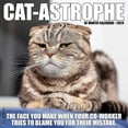 thumbnail image 1 of 2024 Pissed-off Cats Wall Calendar, 1 of 1