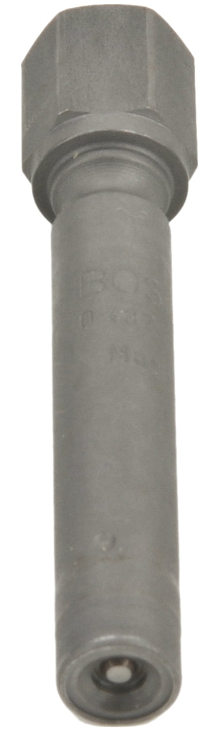 Bosch Gasoline Injector