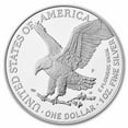 thumbnail image 4 of 2025-P Proof Silver Eagle PR-69 PCGS (Marine Privy, FDI,Black), 4 of 4