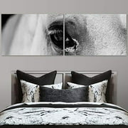 Color-Banner 2 Pieces Modern Canvas Wall Art Black and White Expressive Horse for Living Room Home Decorations - 24"x36" x 2 Panels