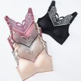 thumbnail image 2 of TrowBridge-sujetadores de encaje de mariposa para mujer, lencería Sexy, Top de tubo para chicas dulces, Sujetador deportivo sin costuras, sujetador cómodo de talla grande, M-5XL, 2 of 4