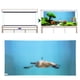 thumbnail image 5 of Papel de fondo para acuario póster autoadhesivo para decoración de peceras efecto 3D imagen HD inodora para bajo el agua, 5 of 8