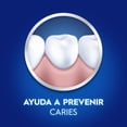 thumbnail image 4 of Pasta Dental Oral-B Frescura Duradera Limpieza Profunda 2 pzas de 100 ml c/u, 4 of 5